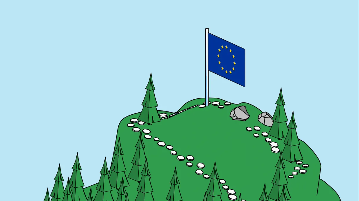 EU deforestation regulation