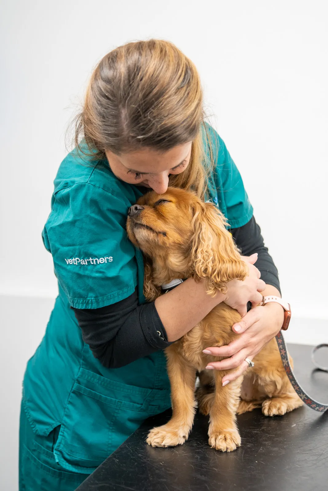 A female vet wearing a green uniform cuddles a small honey-coloured Spaniel who is sitting on her examination table